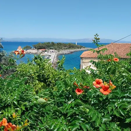 Malvazios Faragnanti #1 *